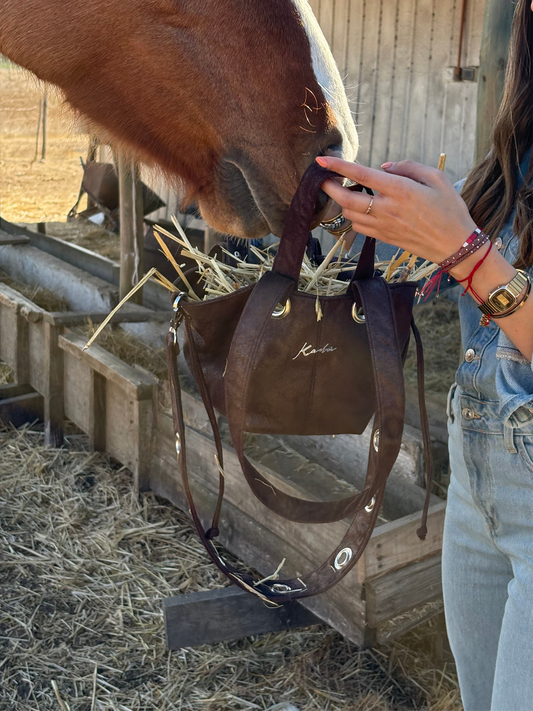 Nano Fortune Bag Chocolate